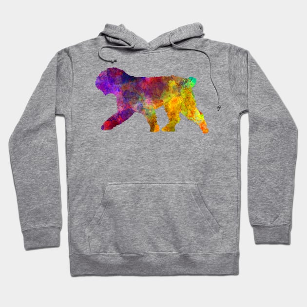 Spanish Water Dog in watercolor Hoodie by PaulrommerArt